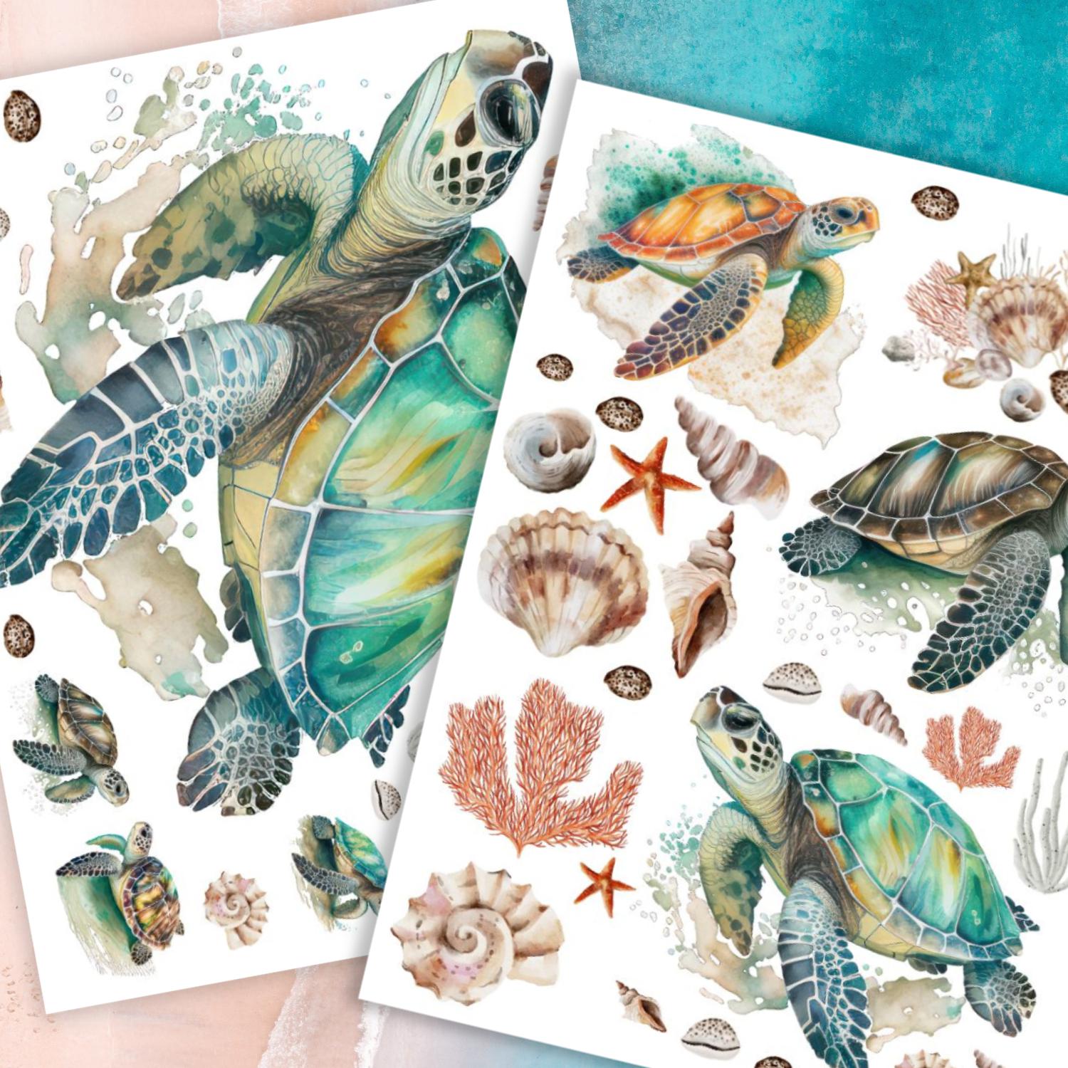 Amanda Dillon's Coastal Collection