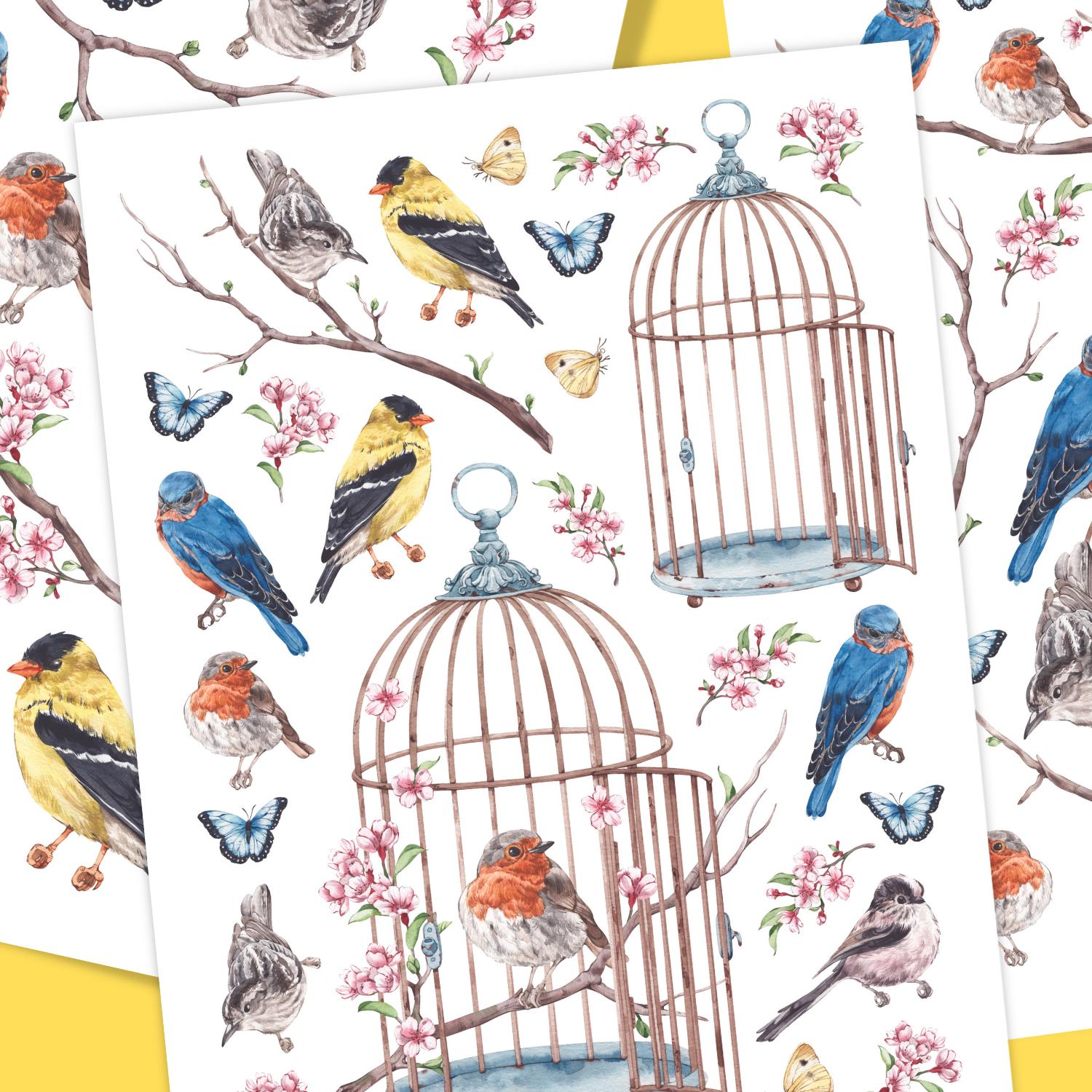 Vintage Birds Rub-on Transfer Set-Rub-on Transfer-Essential Stencil